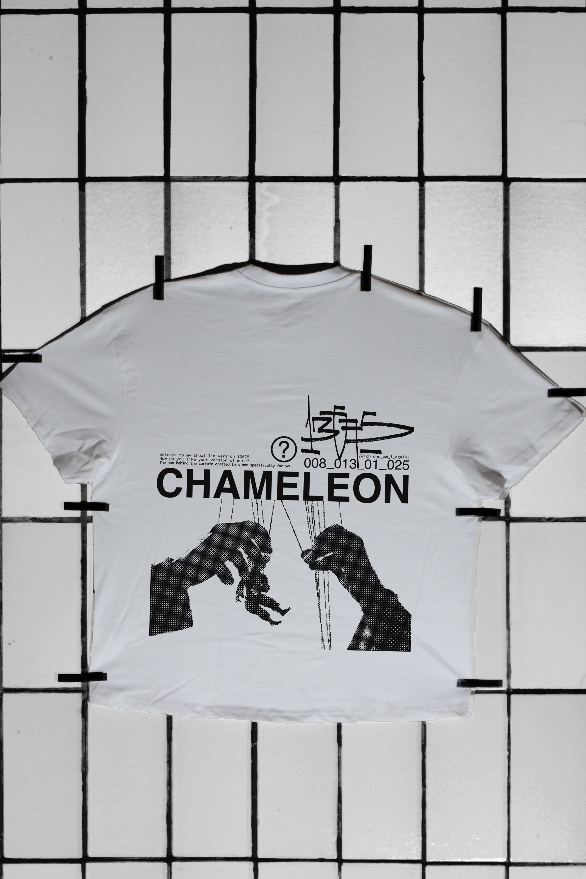 008 - chameleon