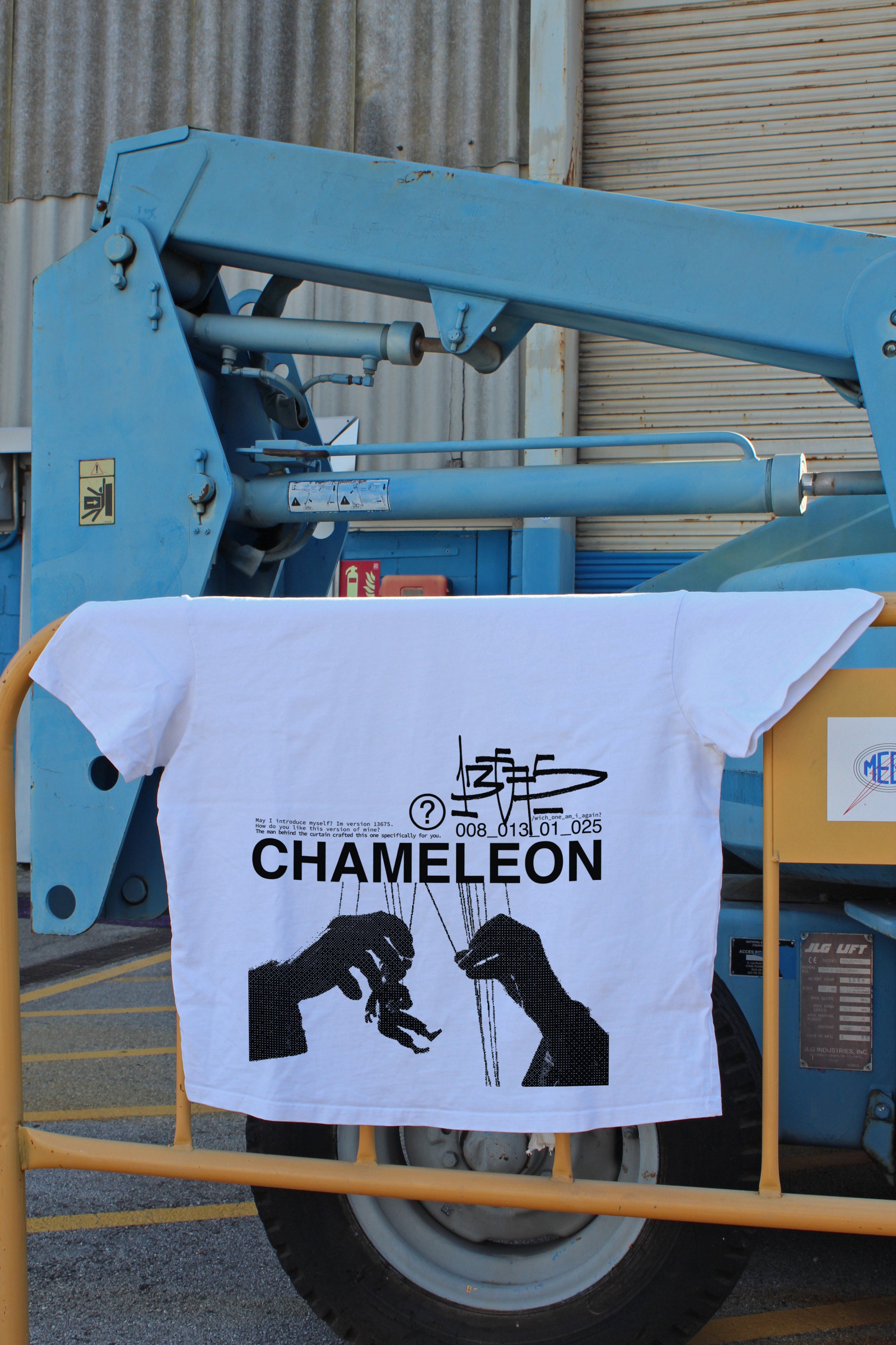 008 - chameleon